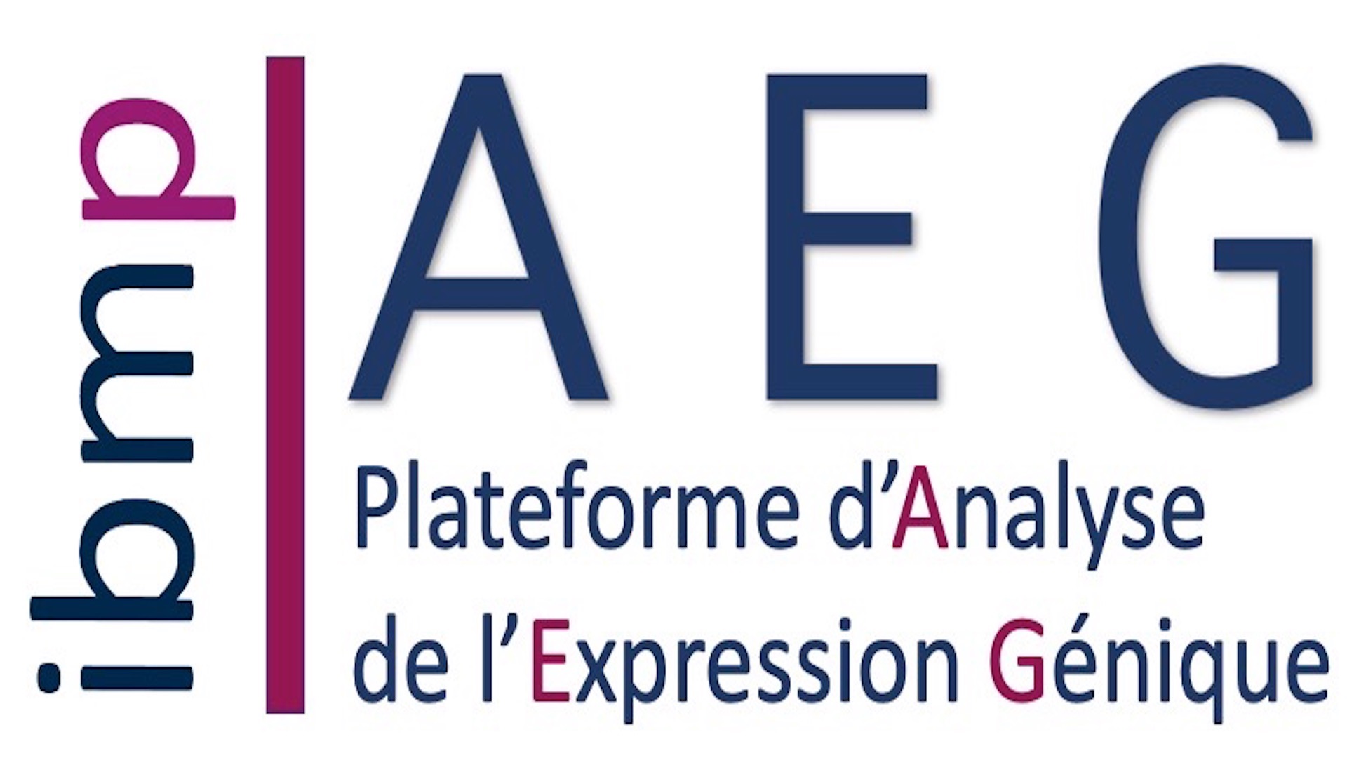 AEG